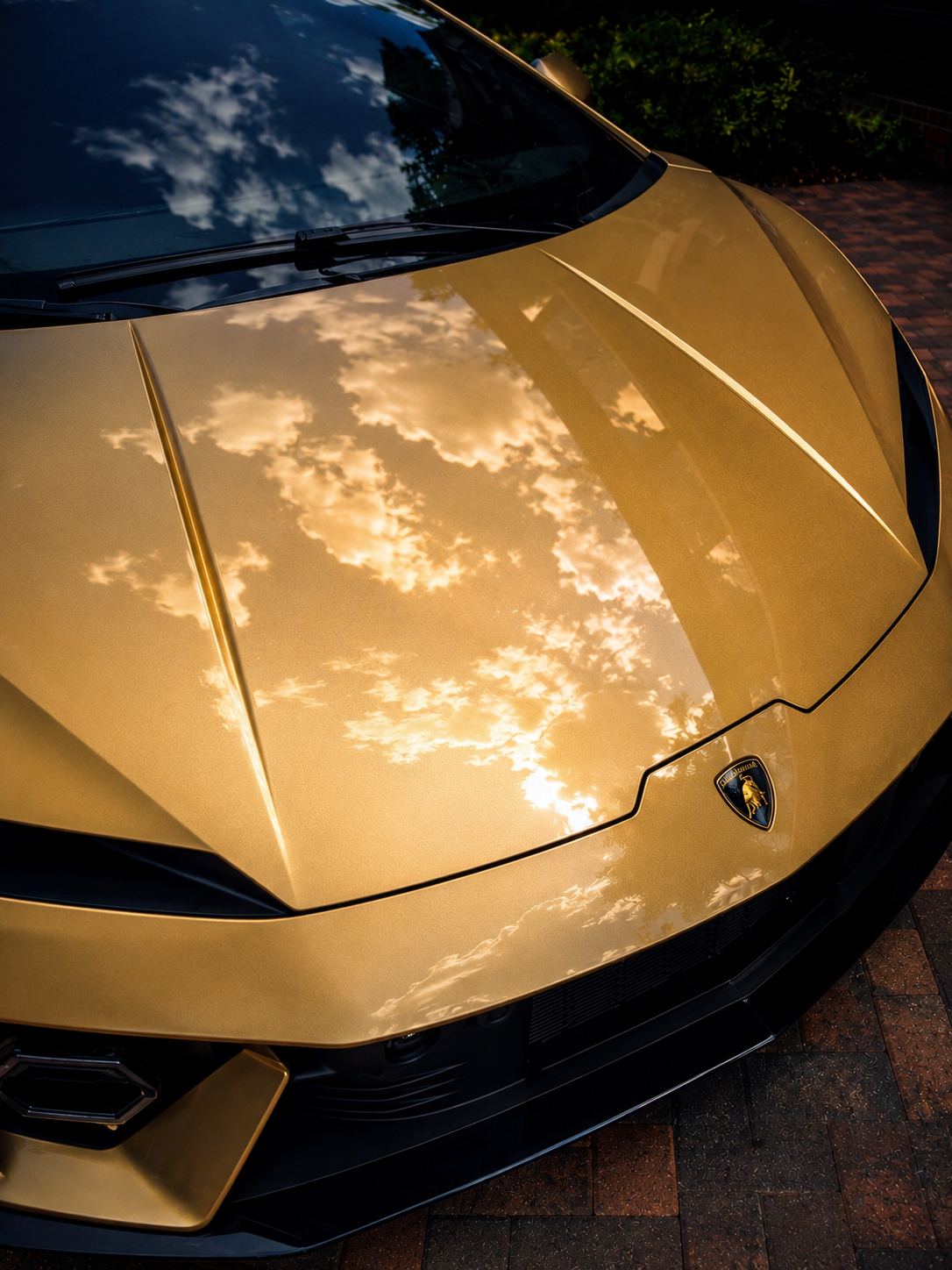 Gold Lamborghini hood reflecting the sky